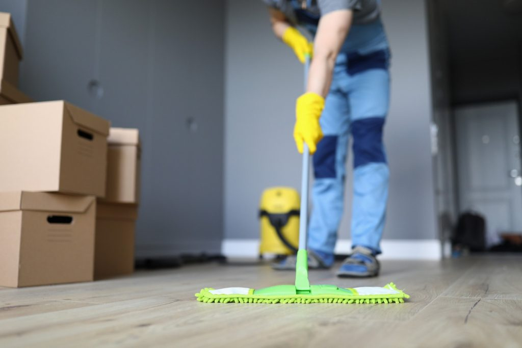 Premium Cleaning Services