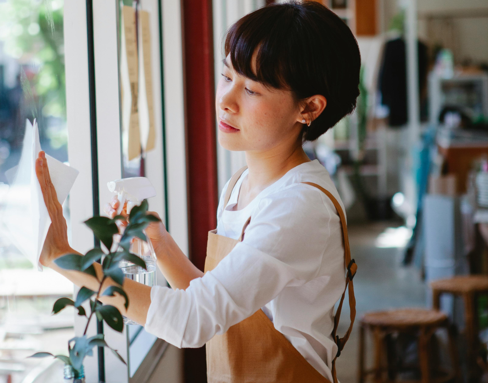 Window Cleaning Services