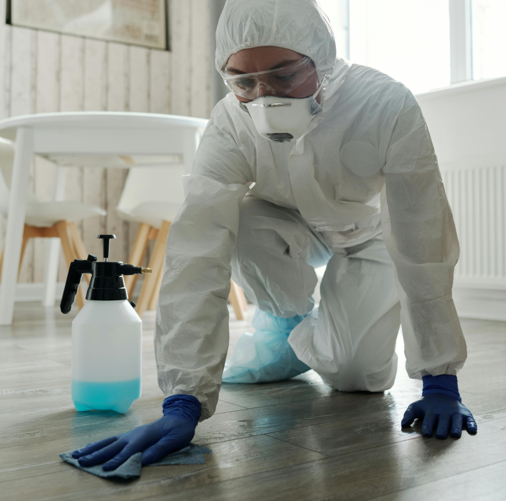 Move In/Out Cleaning